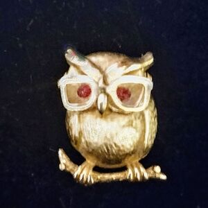 Sarah Coventry vintage gold tone Owl pin brooch.